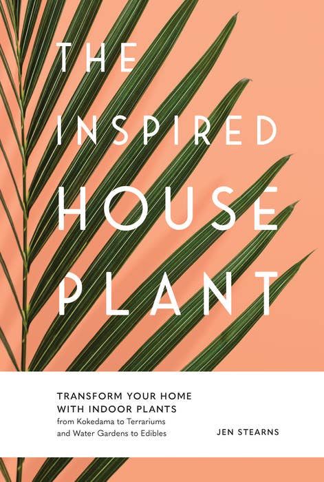 Inspired Houseplant, The